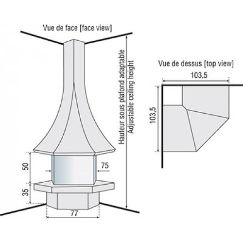 Камин JC Bordelet Julietta 985 angle vitree (угловой, с закрытым очагом)_1 Камин JC Bordelet Julietta 985 angle vitree (угловой, с закрытым очагом)_1