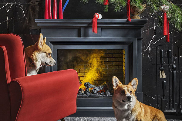 Dimplex Coventry очаг XHD28L-INT черный_11 Dimplex Coventry очаг XHD28L-INT черный_11