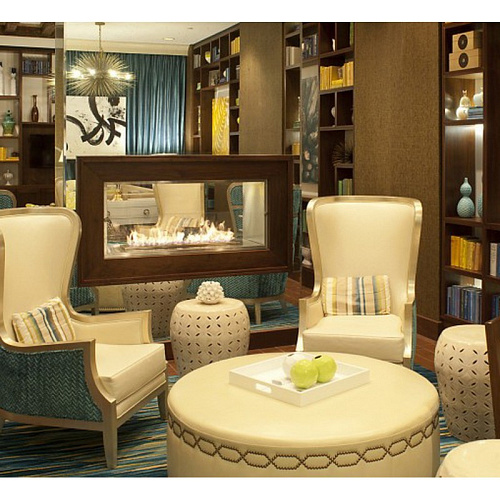 Ecosmart Fire FIREBOX 1200DB_2 Ecosmart Fire FIREBOX 1200DB_2