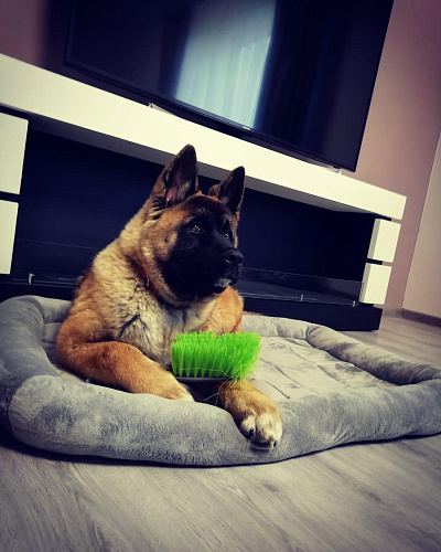 Proff Fire Учан-1700_3 Proff Fire Учан-1700_3