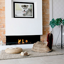 Встраиваемый биокамин Biokamino BKBF-C / 3 sides Biokamino BKBF-C / 3 sides