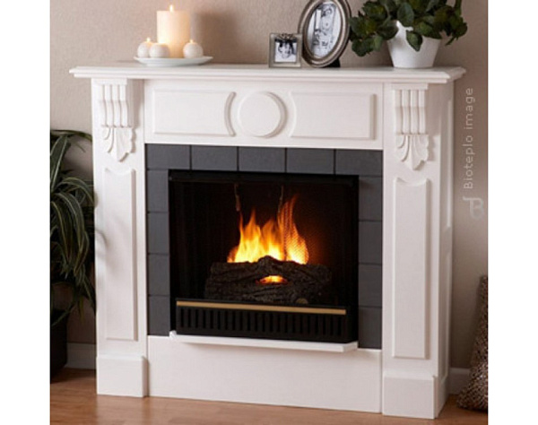 Bioteplo Swan_1 Bioteplo Swan_1