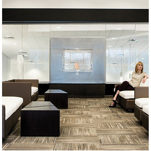 Ecosmart Fire FIREBOX 900DB_2 Ecosmart Fire FIREBOX 900DB_2