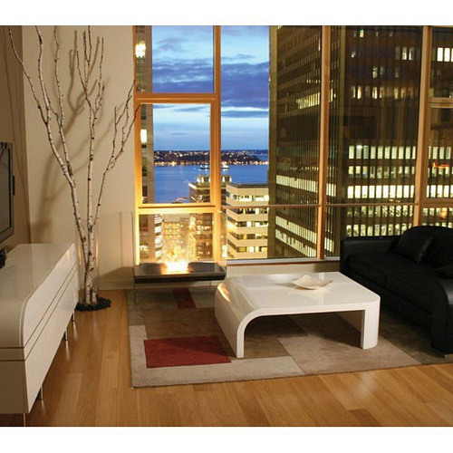 Ecosmart Fire Igloo_2 Ecosmart Fire Igloo_2